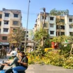 वृक्ष की छांव से छिप रहा था स्पीड ब्रेकर, भारत दर्पण लाइव की सूचना पर मनपा ने की कटाई